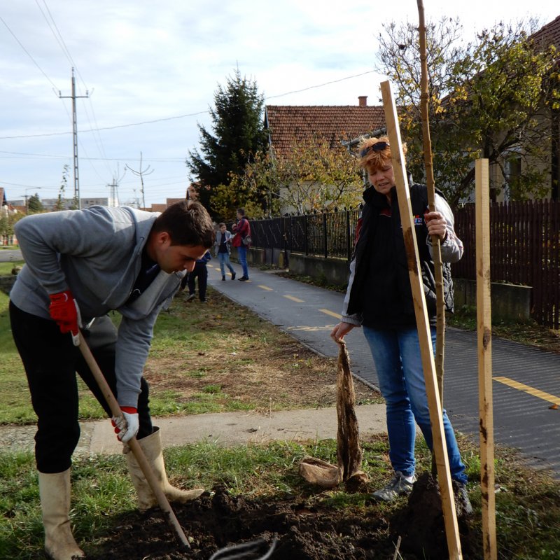 Közösségi faültetés Berettyóújfaluban 37